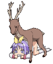 furrys_f00king