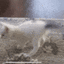 CattwerkOk