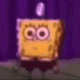 SpongeTwerk