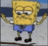 SpongeSwag