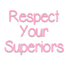 respectyoursuperiors