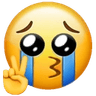 cryingpeacesign