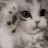 489
