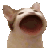 481