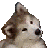 4816