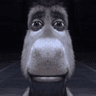 1donkey