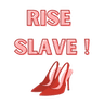 FW_Rise_Slave