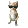 joncool