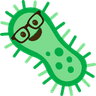 bacnerdia