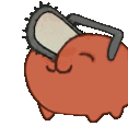 pachito