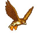 DH_hawk