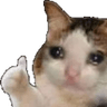 Thumbsupcat