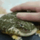 p_frogpat