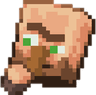 7116villagerwhat