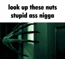 Lookthemupgif