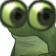 frog_stare