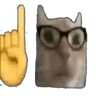 gatinhonerd