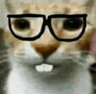 B_nerd