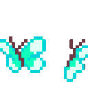 ButterflyTeal