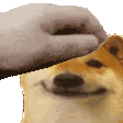Doggypatpat