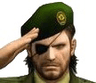 salute