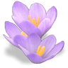 Lounge_pflower2