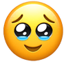 pleadingcry