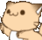 gatito