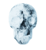 skull