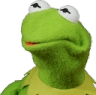 kermitstare