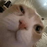 emoji_58