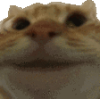 emoji_59