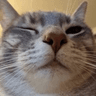 emoji_62
