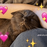 emoji_73