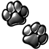 black_paws