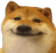 melon_bruh