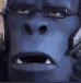 winston