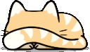 catPeek
