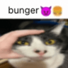 4776bungerpussy