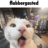 4776flabbergastedpussy1