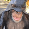 batmonky