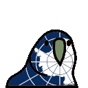 antarcticaParrot