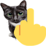 4287middlefingercat