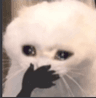 cry_ehh