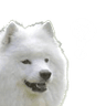 emoji_56
