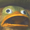 bed_E6_Ludi_Rabies_Surprise