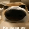 emoji_52