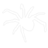 white_aranha2