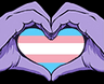 TransPride