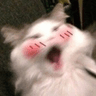 emoji_87